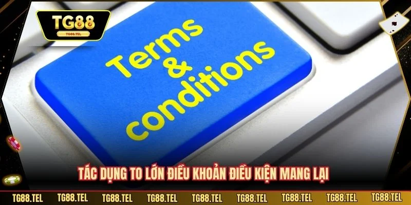 Tác dụng to lớn điều khoản điều kiện mang lại